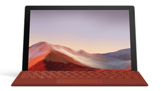纳雍清洁和维护 Surface